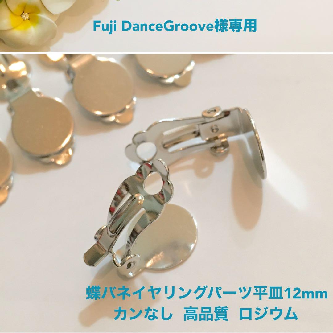 Fuji DanceGroove様専用 イヤリングパーツ