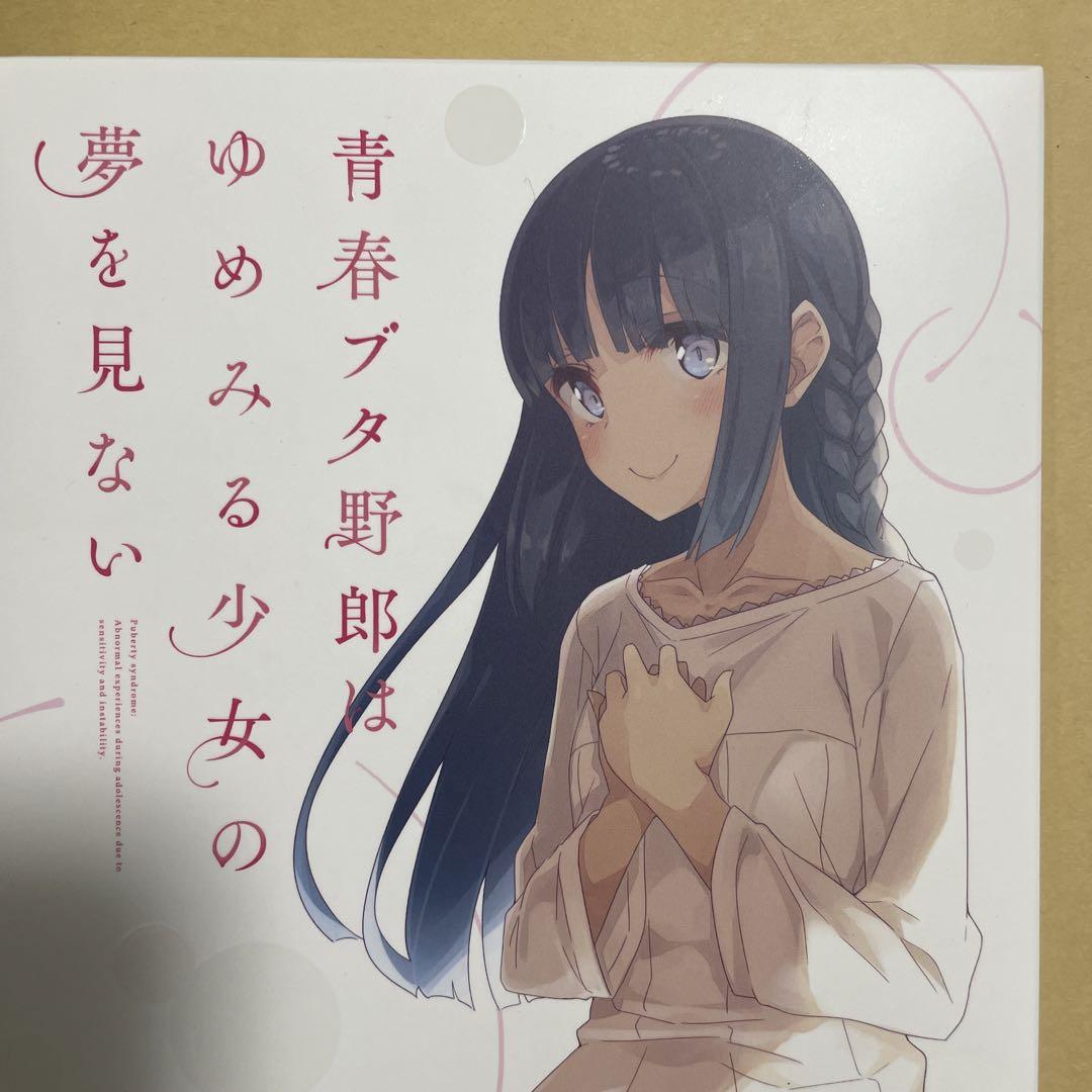 青春ブタ野郎はゆめみる少女の夢を見ない　BD