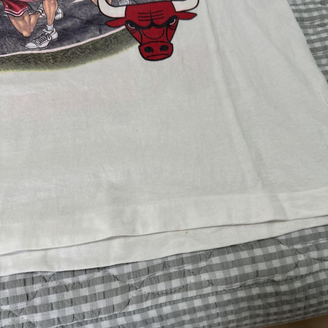 NBA  Tシャツ　デッドストック　1995-1996  シカゴブルズ