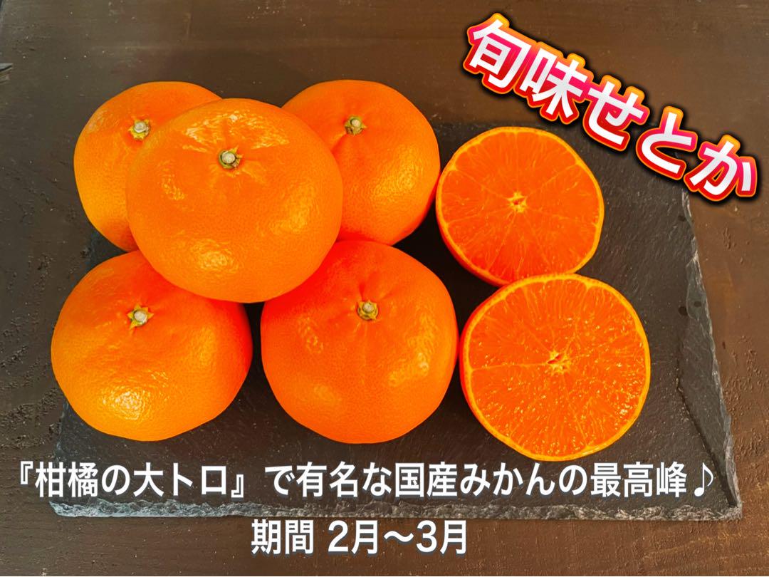 専用出品　バルト88様　5kg