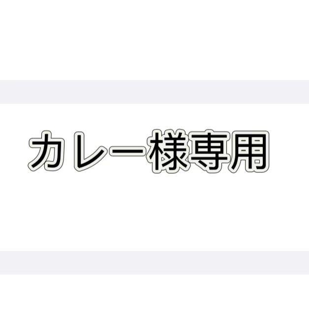 カレー専用