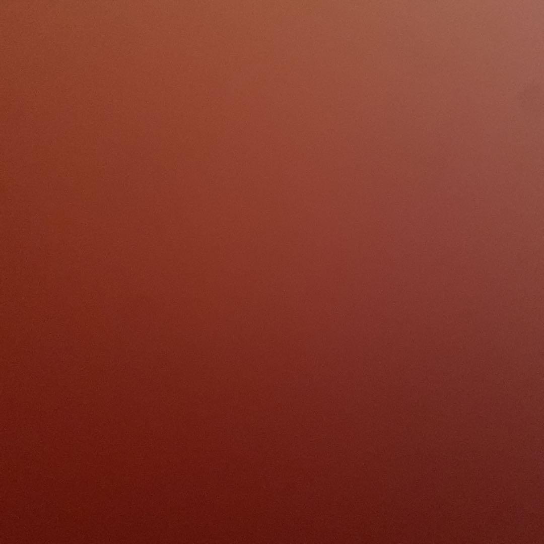 ポメラニアンもち
