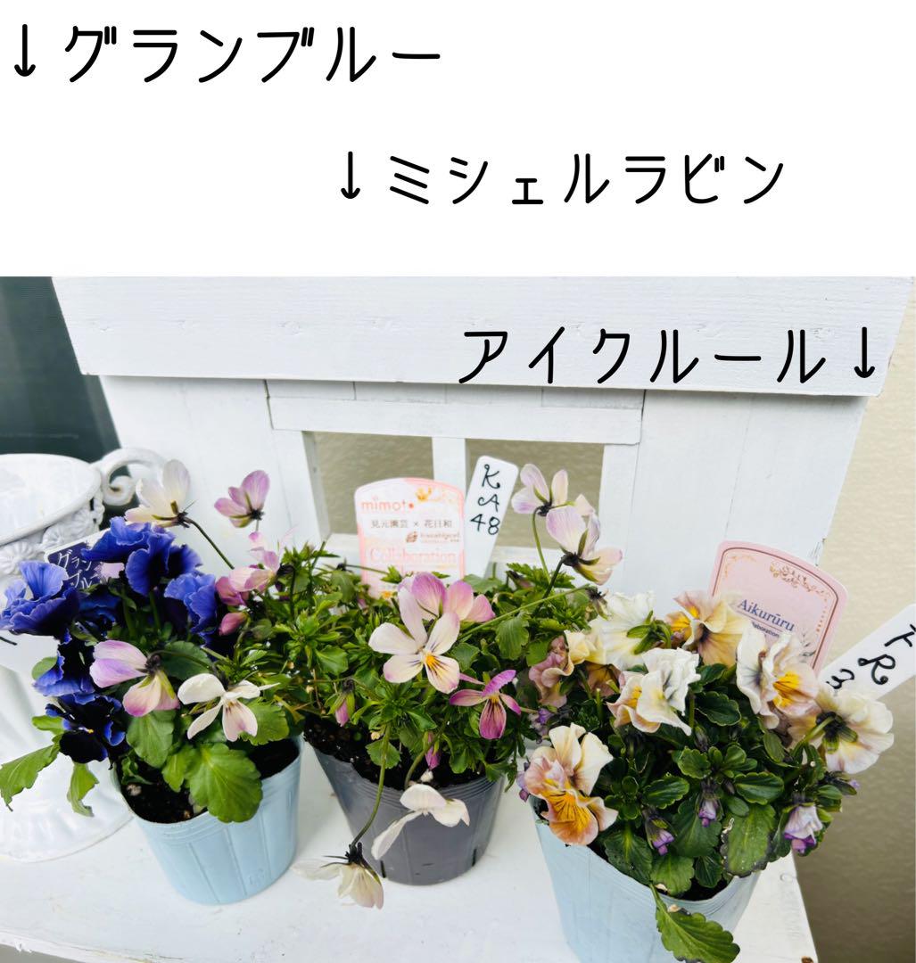 リクエスト