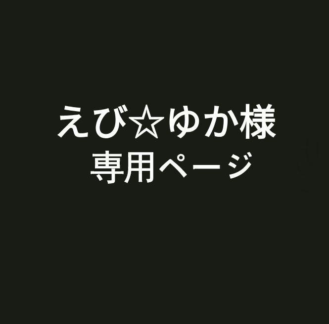 えび☆ゆか様専用ページ