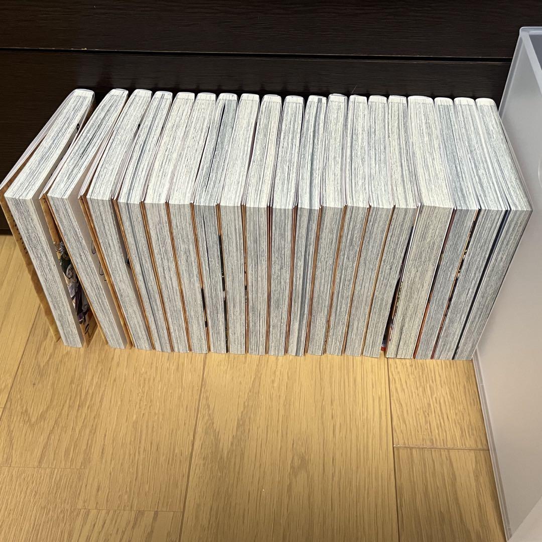 フェアリーテイル全巻＋外伝　まとめ売り