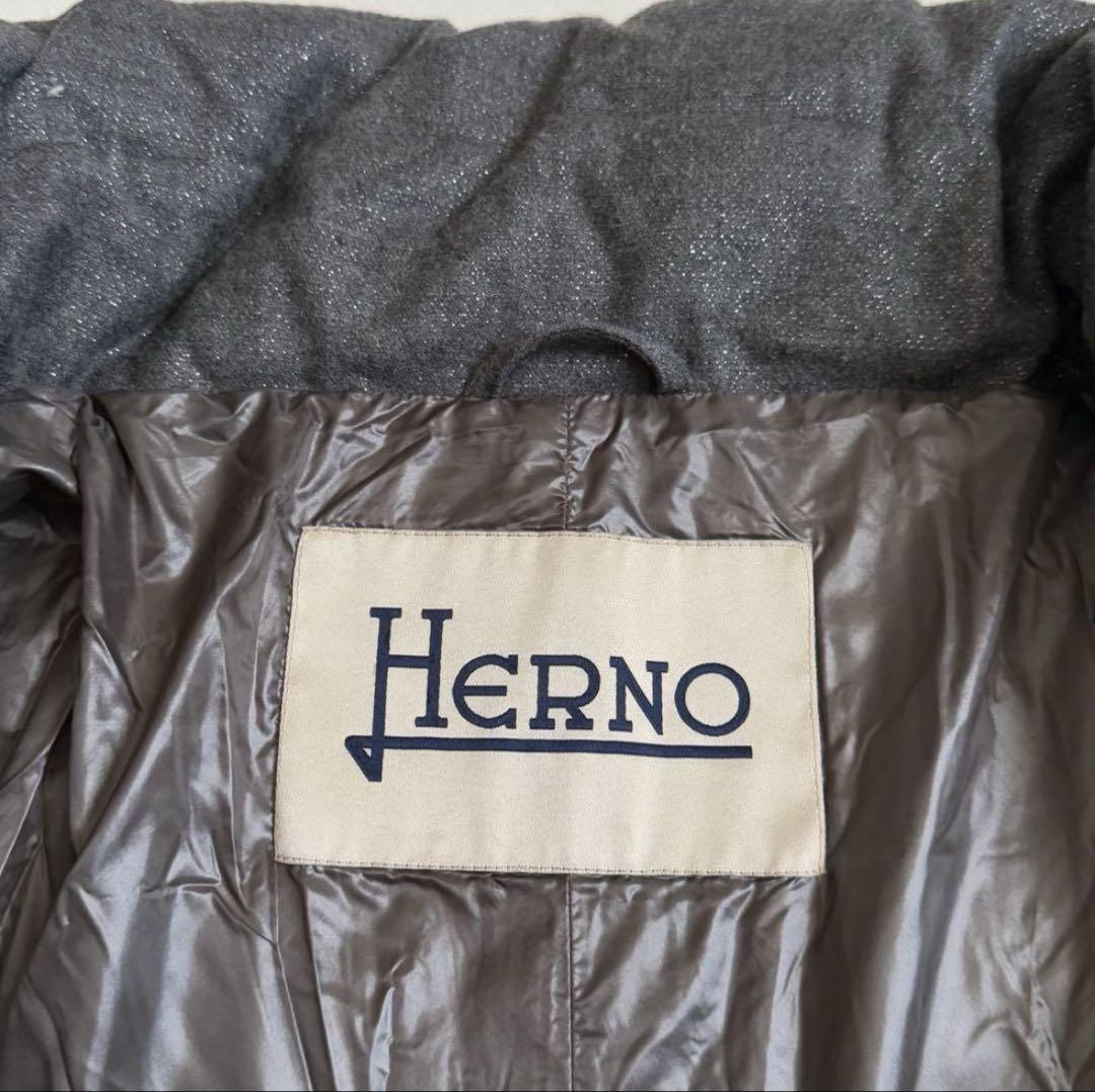 着用2〜3回 美品 Herno ヘルノ ラメダウンジャケット 40 Mサイズ