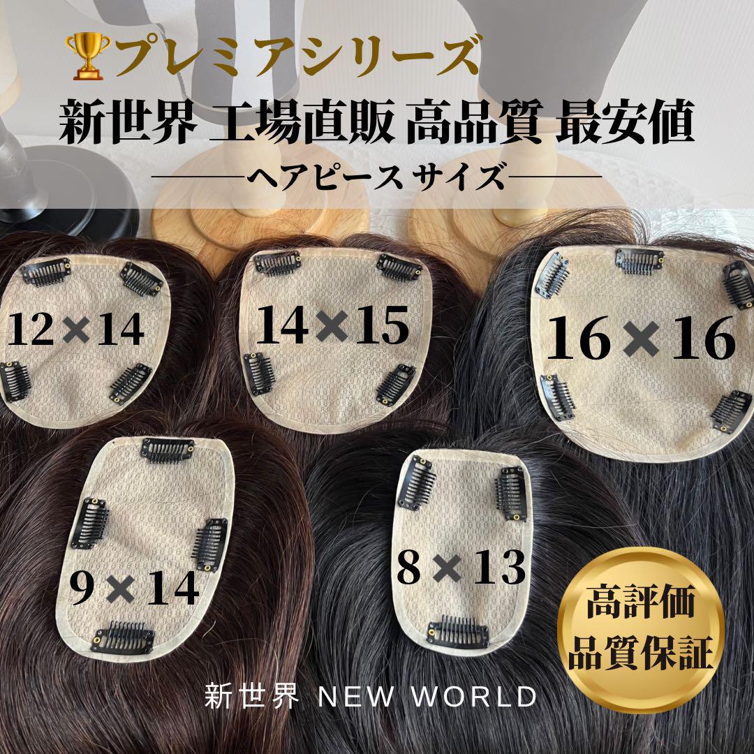 ★プレミアシリーズ★6月最新入荷新世界ヘアピース★12*14総手植45〜46cm