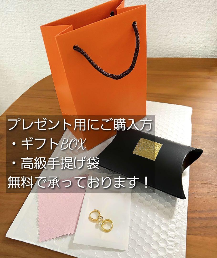 119Pg【情熱】ピアス　ルビー　アメジスト　六角　S925　赤　プラチナコート