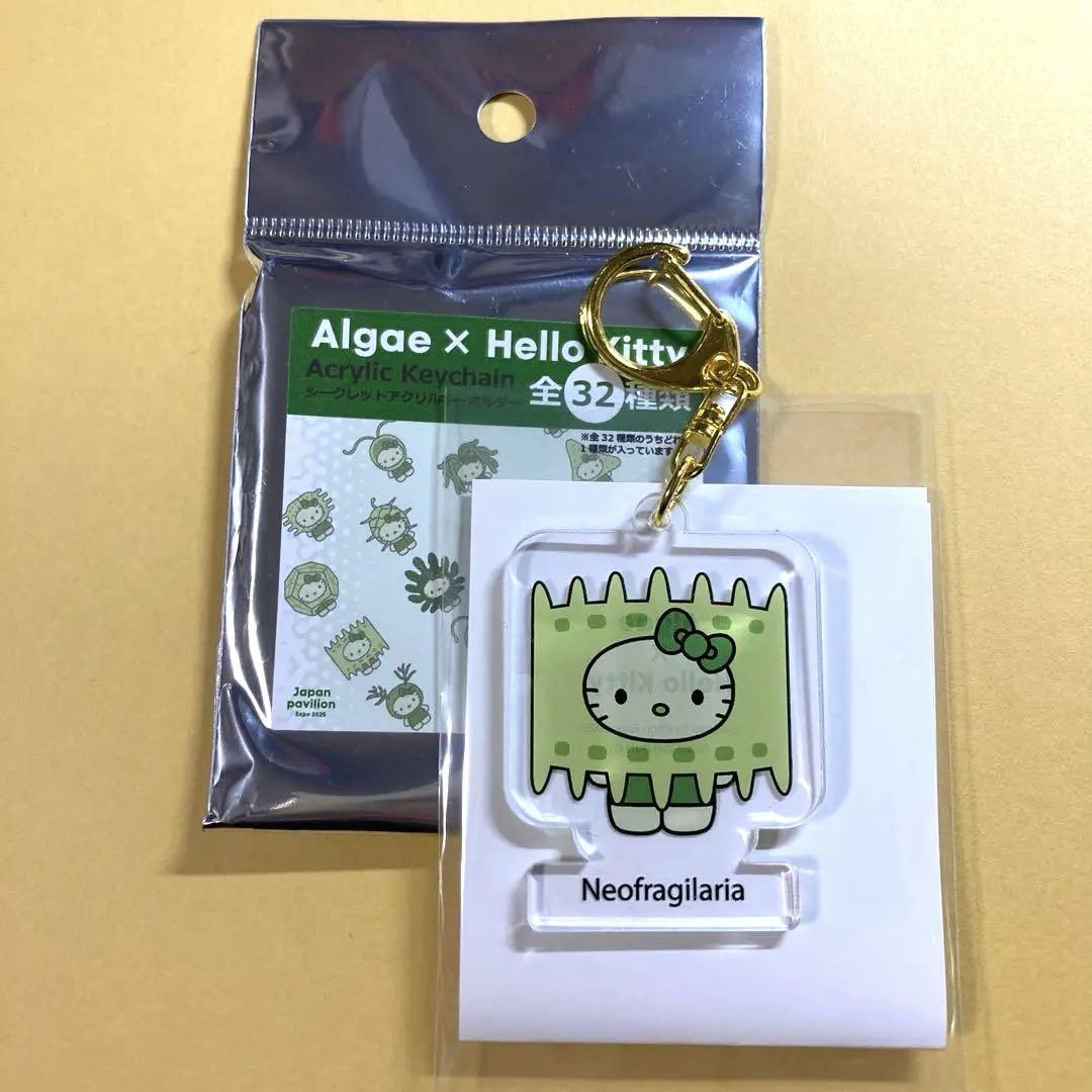 ハローキティ 愛地球博 キーホルダー サンリオ - 美品 2005年当時物 愛・地球博限定 ECO ハローキティ