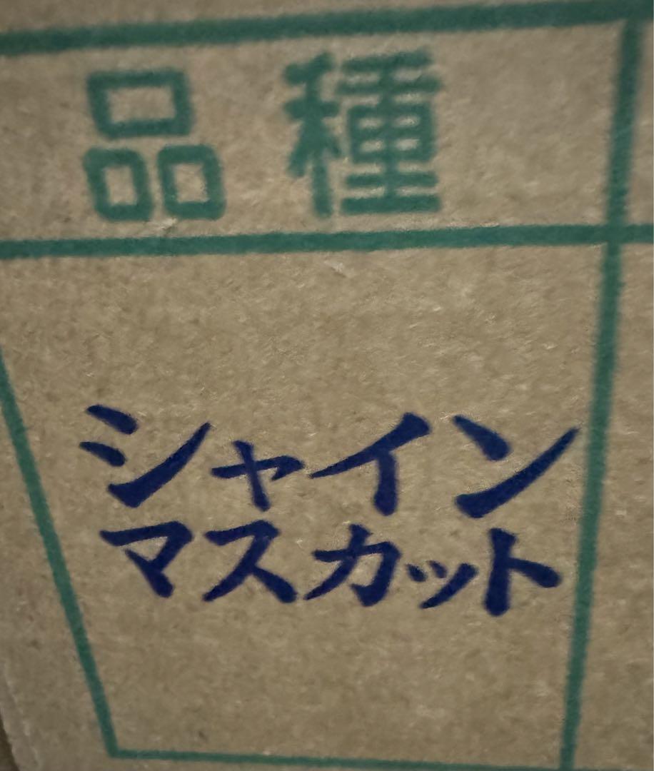 はる⭐️山梨県産シャインマスカット⭐️JA共選品⭐️4房入り箱込み約2.5kg