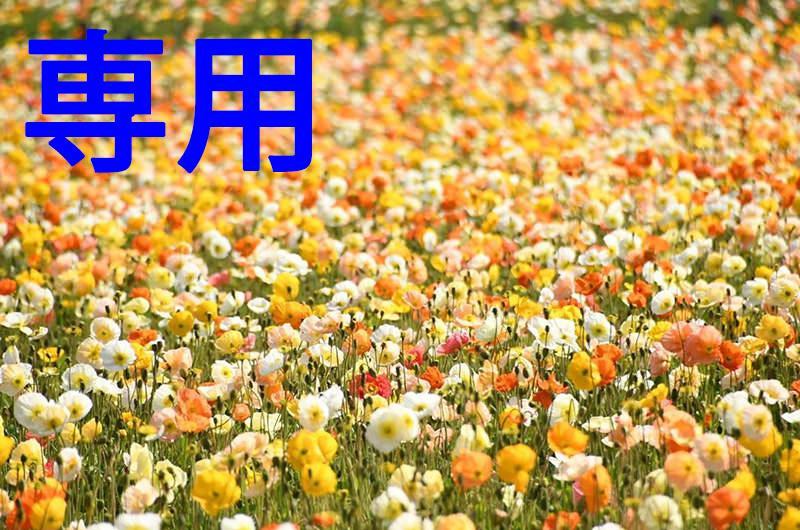 カプチーノさん専用