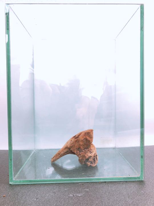 メルカリ 天然 流木 小 インテリア アクアリウム 小物などに 魚用品 水草 1 100 中古や未使用のフリマ メルカリ 天然 流木 小 インテリア アクアリウム 小物などに 魚用品 水草 1 100 中古や未使用のフリマ