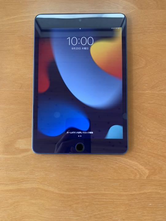 超激得新品 iPad mini 5 64GB Wi-Fiモデル Cqwok-m93816232912 人気セール