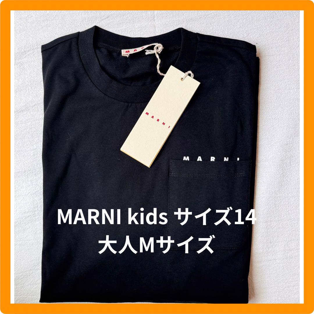 楽天市場】MARNI キッズ マルニ Tシャツ レディース ロゴ 半袖