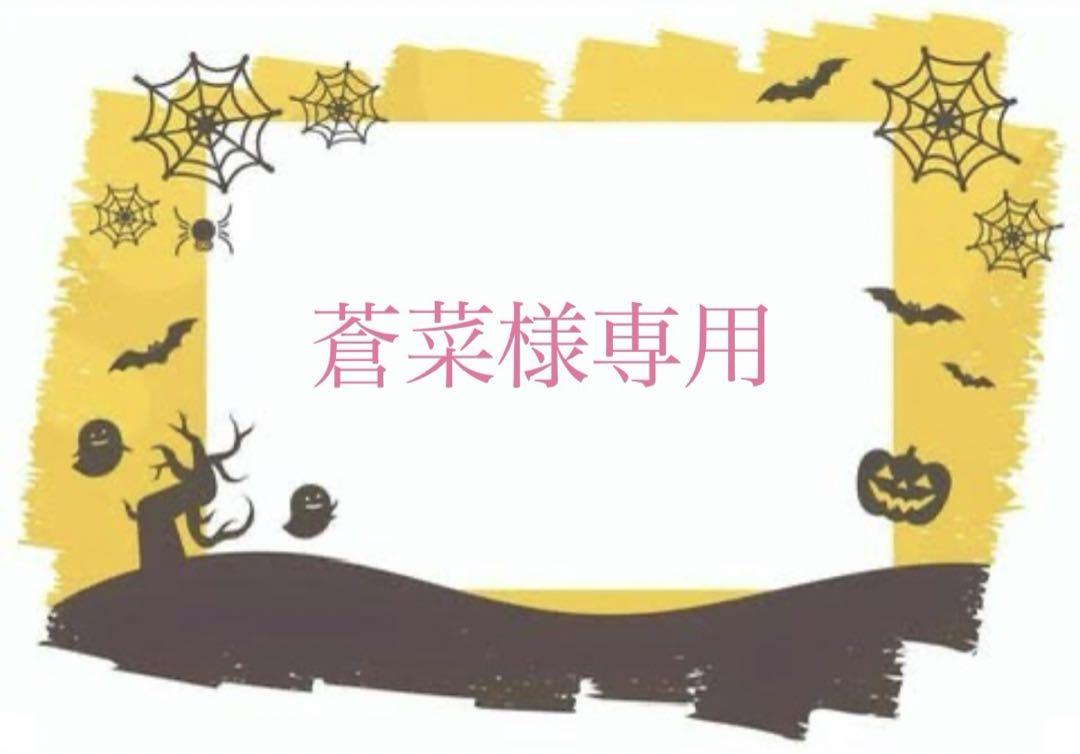 蒼菜様専用