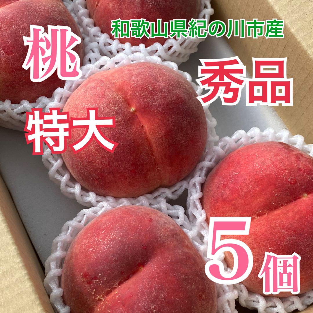 桃(日川)秀品　特大5個 ￼ 60サイズ箱入り　2箱 桃(日川)秀品 特大5個 60サイズ箱入り - メルカリ