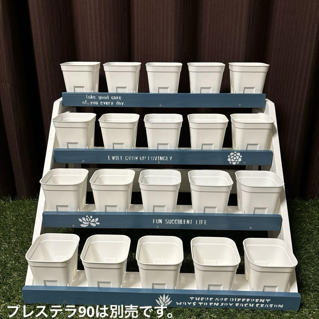 多肉棚 プラステラ90 花台 多肉植物 - メルカリ