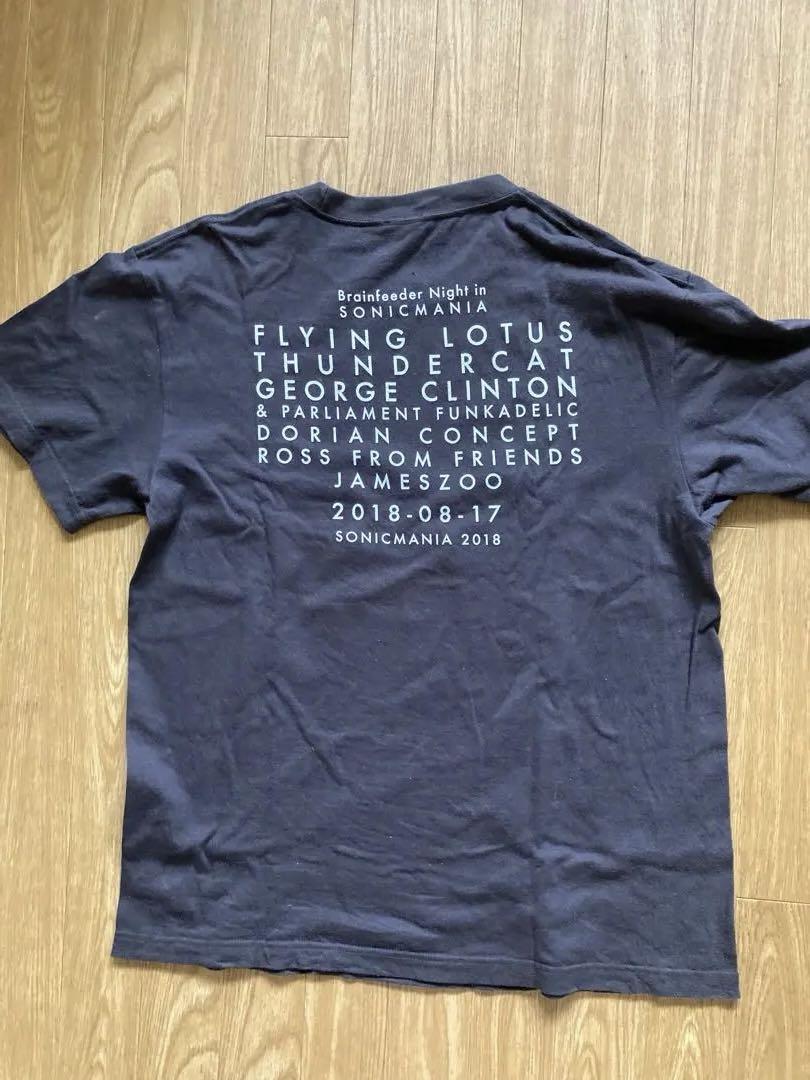 福袋 FLINGLOTUS メルカリ - サマソニTシャツ FEEDER BRAIN ミュージシャン