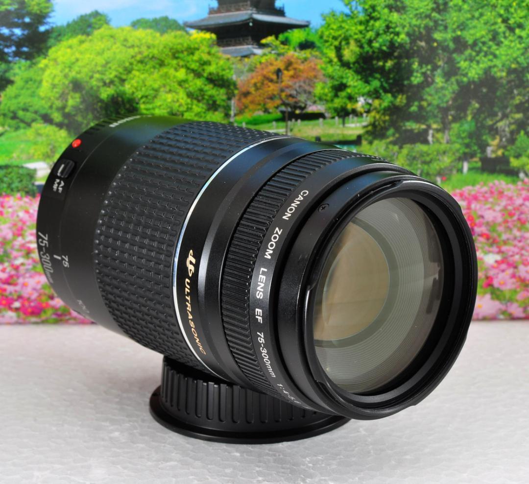 Canon キヤノン 望遠レンズ 永久保存、瞬間激写！ EF75-300mm#7