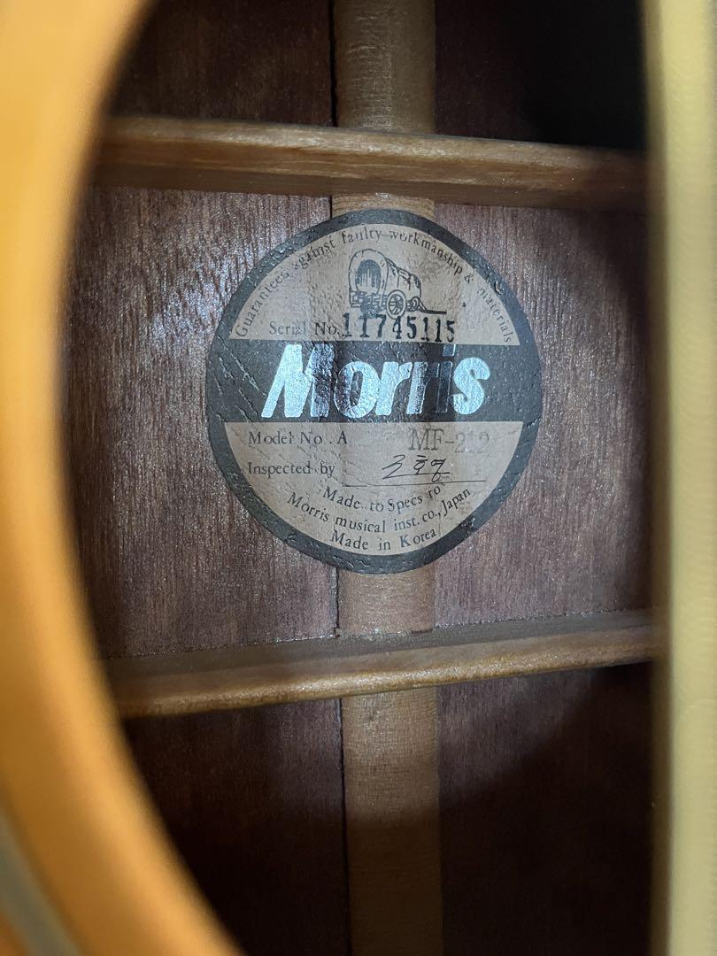 MORRIS アコースティックギター