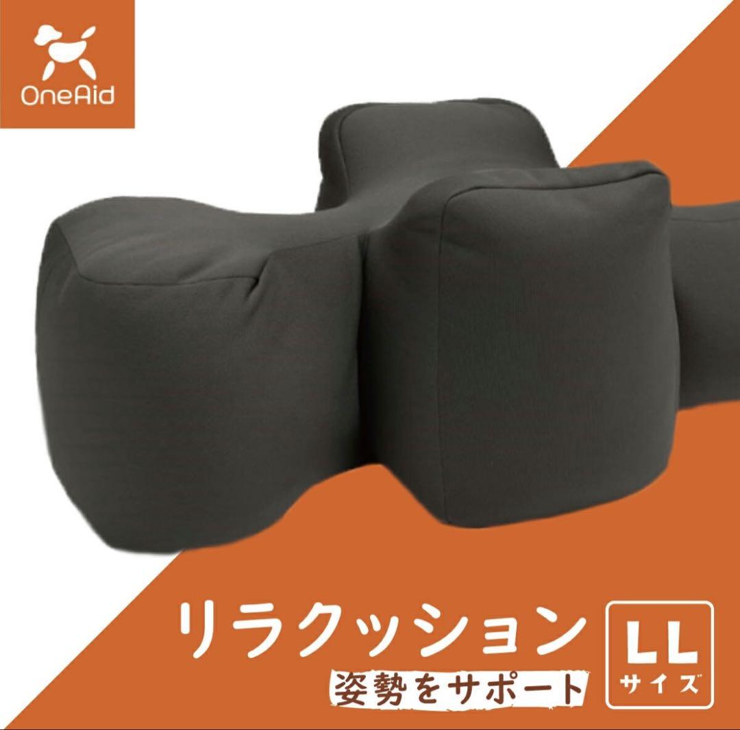 本体と撥水加工カバー付き