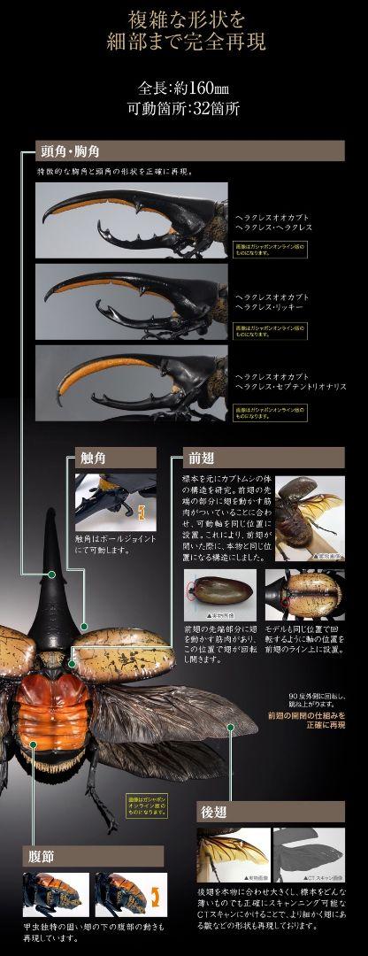 オンライン版　ヘラクレス・ヘラクレス　いきもの大図鑑　ヘラクレスオオカブト　昆虫
