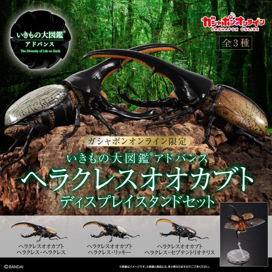 オンライン版　ヘラクレス・ヘラクレス　いきもの大図鑑　ヘラクレスオオカブト　昆虫