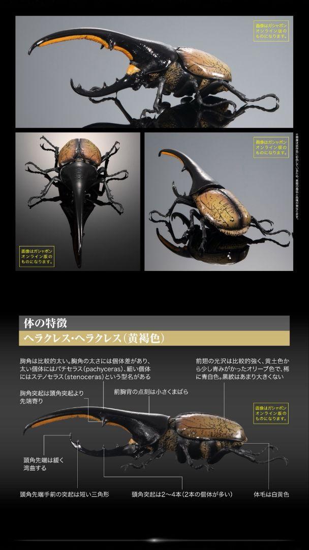 オンライン版　ヘラクレス・ヘラクレス　いきもの大図鑑　ヘラクレスオオカブト　昆虫