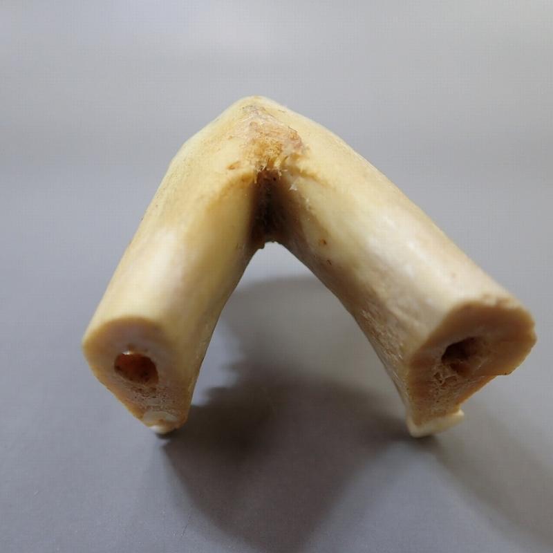 RU-5555 熊の牙 キバ / 根付・提げ物