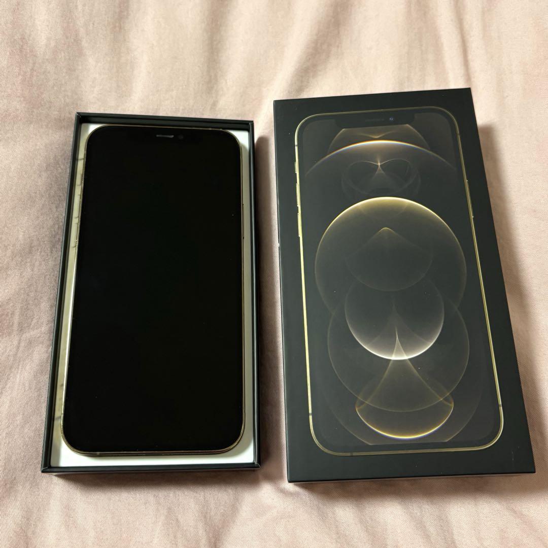 本体