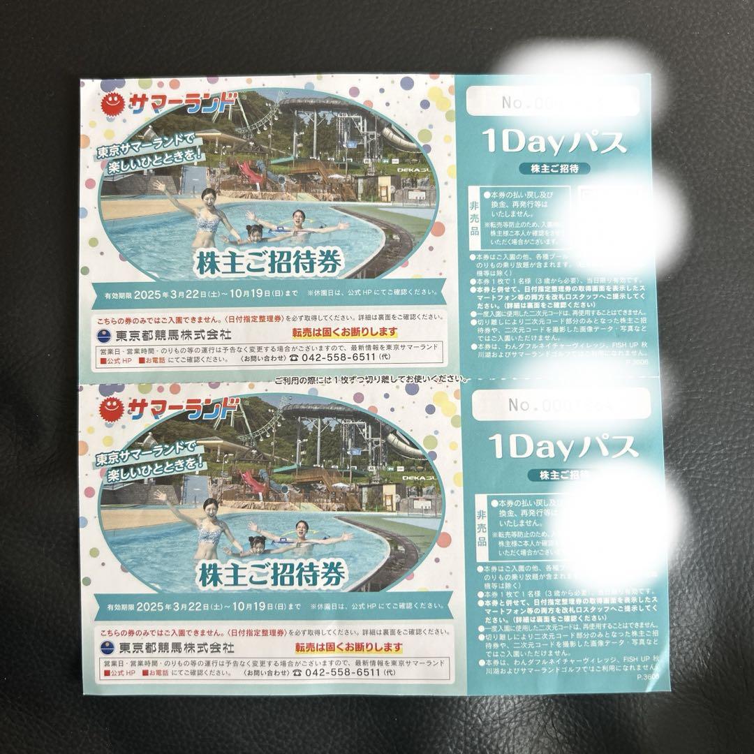 東京サマーランド 招待券 2枚セット