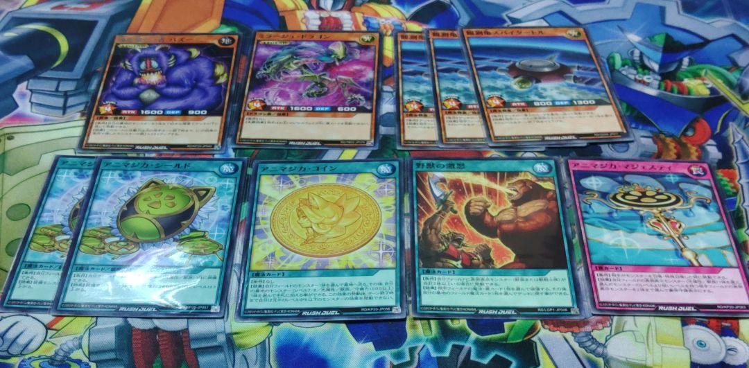 遊戯王　アニマジカ　デッキ　構築済み