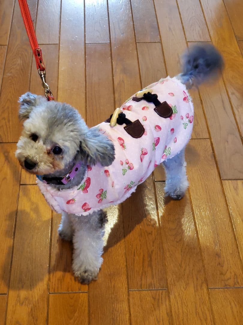 AYUHI様専用☆犬のお洋服とふわもこ腹巻き☆着脱が簡単☆オーダー