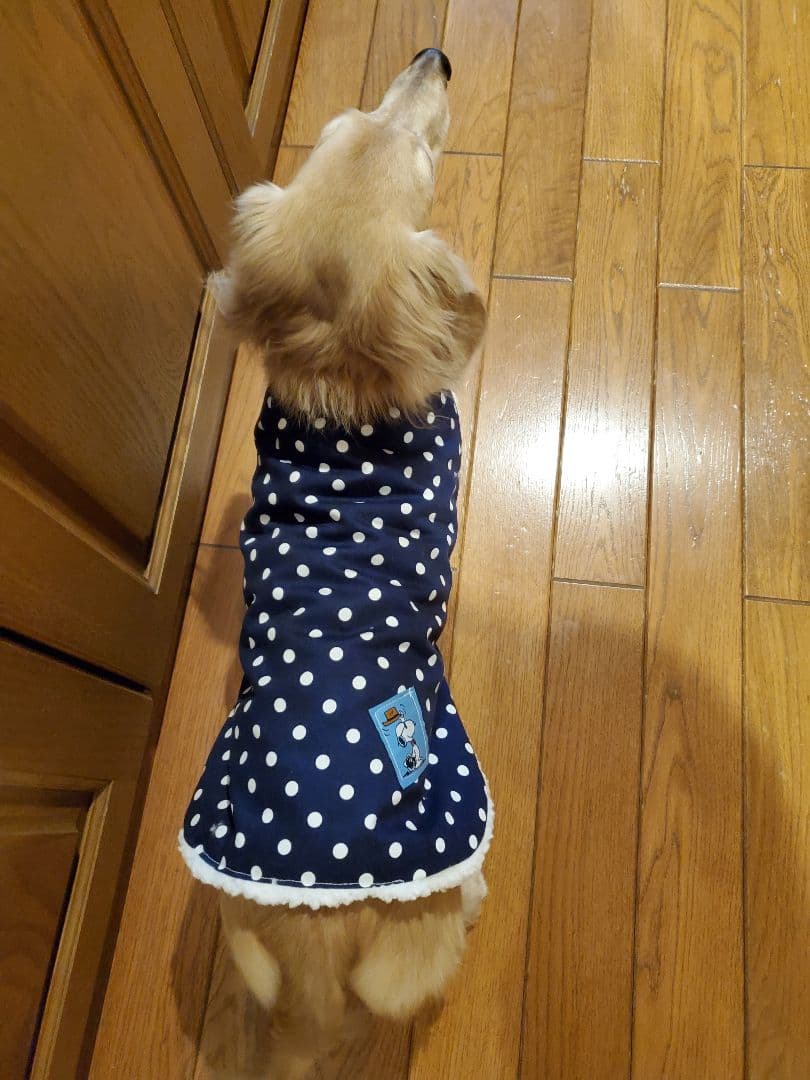 AYUHI様専用☆犬のお洋服とふわもこ腹巻き☆着脱が簡単☆オーダー