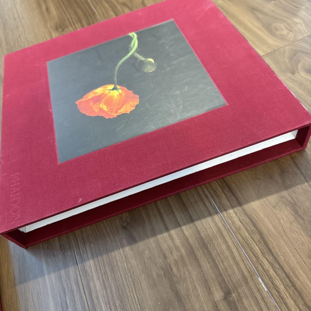 FLORA Mapplethorpe