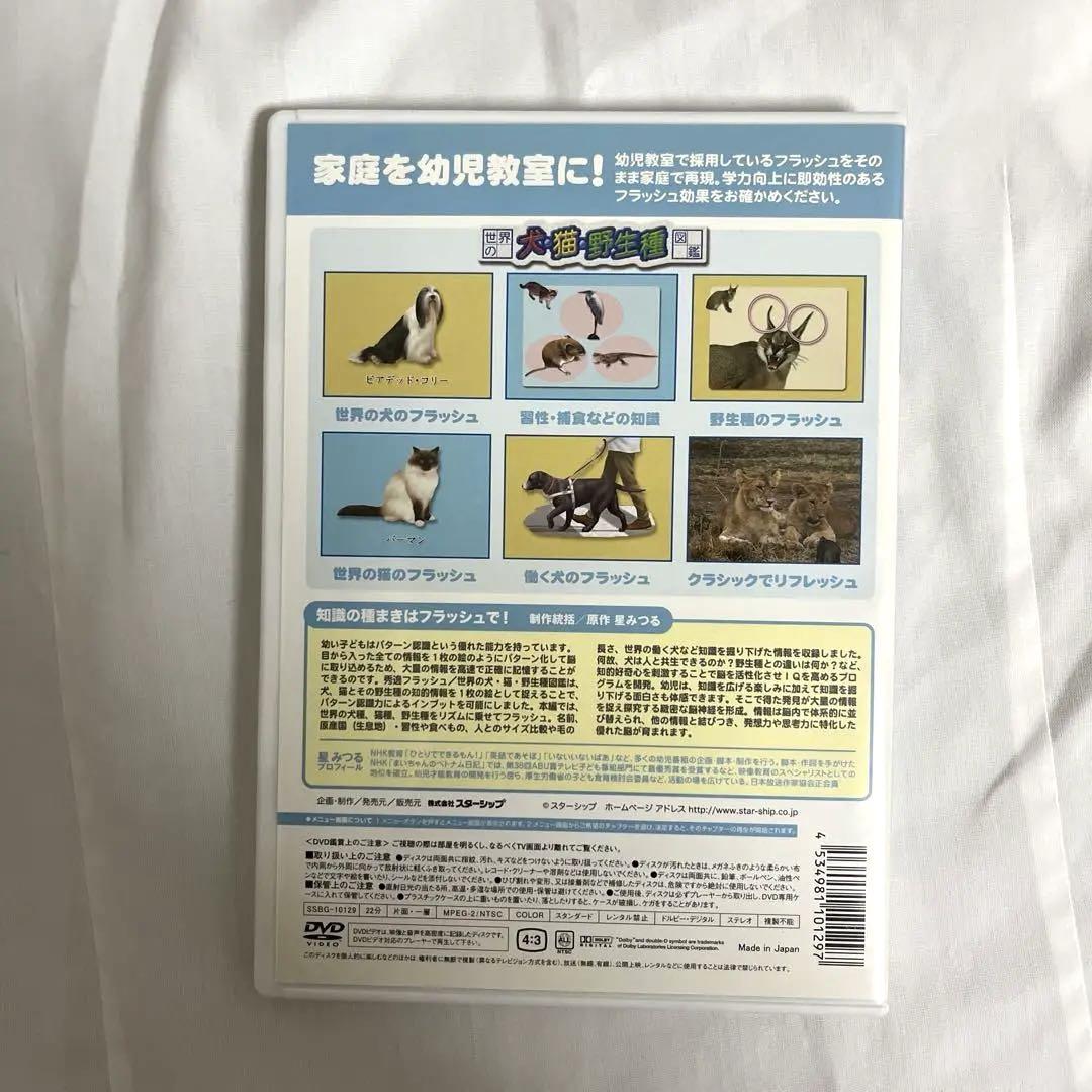 星みつる 秀逸フラッシュ DVD 5枚セット 秀逸ビデオシリーズ 星みつる式