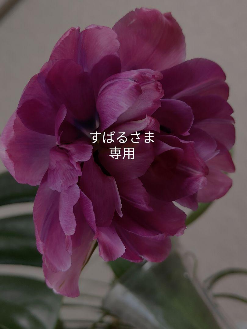 すばるさま専用　ソファチェア
