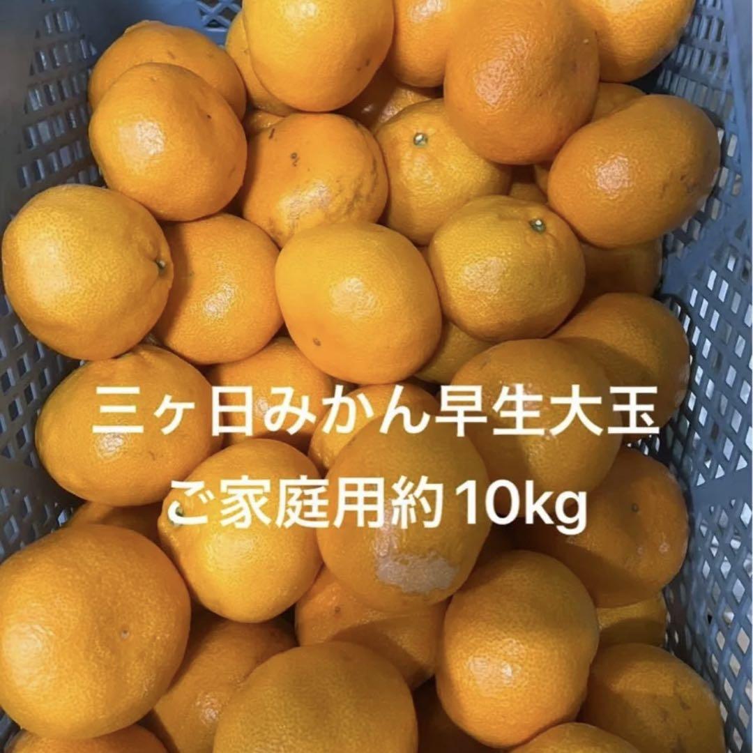 【メル男】三ヶ日みかん　ご家庭用　早生小玉約10kg+大玉約10kg