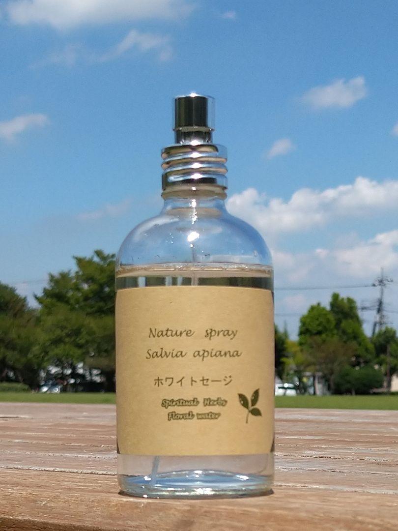 国産 生 ホワイトセージ100 使用 フローラルウォーター100ml スプレー 純正超特価 Healthnews Pt 国産 生 ホワイトセージ100 使用 フローラルウォーター100ml スプレー 純正超特価 Healthnews Pt
