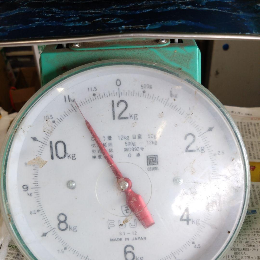 熊本県産　金色羅皇スイカ 約11kg　現品です。