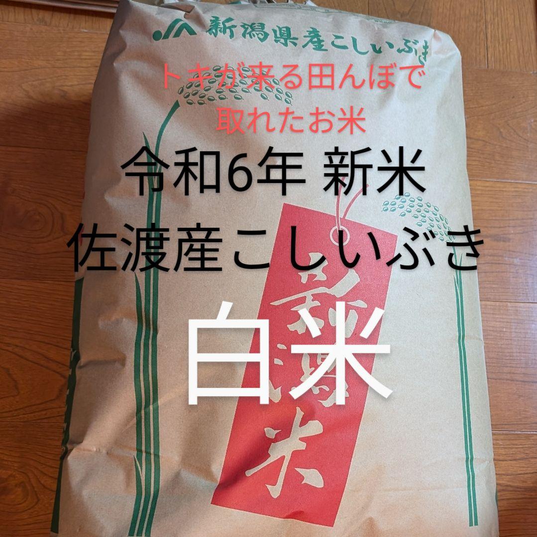 令和6年佐渡産こしいぶき白米20キロ