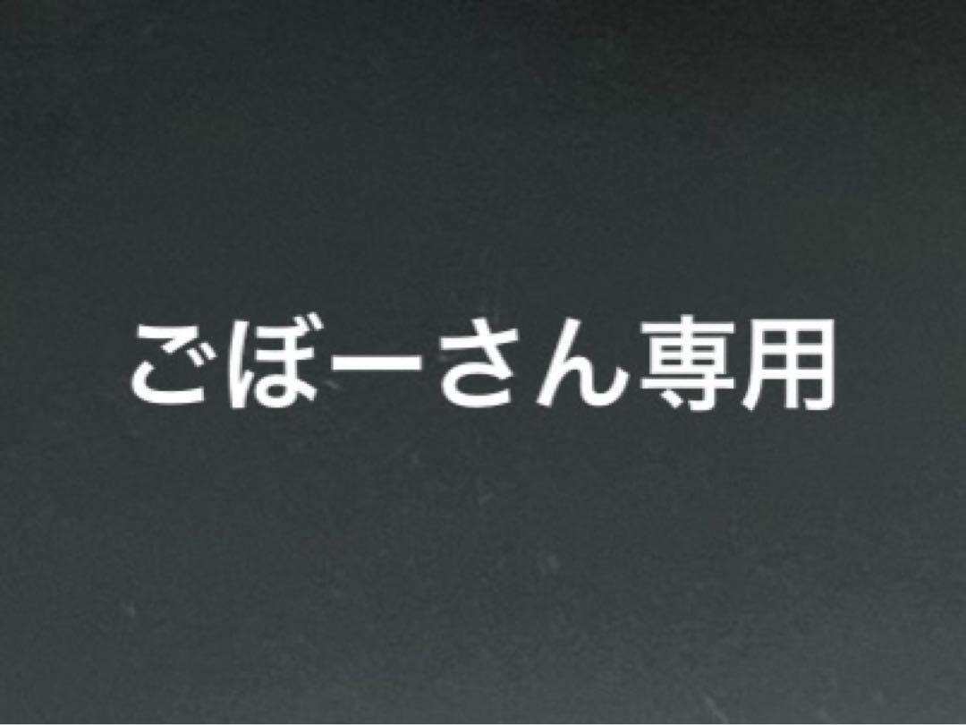19バンキッシュ　c3000