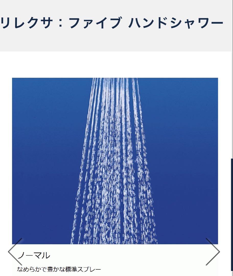 GROHE RELEXA 100 Five シャワーヘッド　2879600J