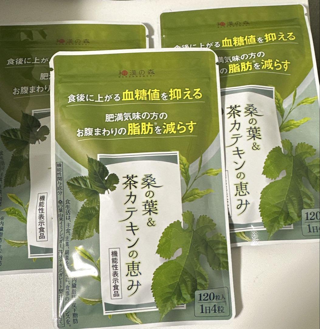 漢方セレクト 桑の葉&茶カテキンの恵み 120粒