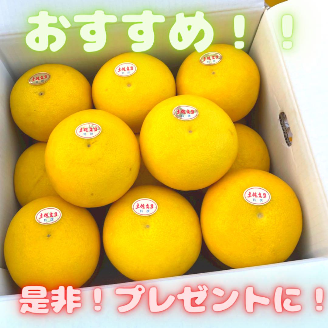 特選　文旦　10kg 03