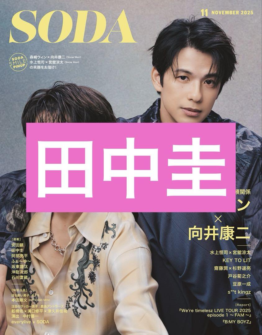 田中圭 SODA、 VOCE 切り抜き100枚セット 田中圭 SODA、 VOCE 切り抜き100枚セット 田中圭 SODA、 VOCE