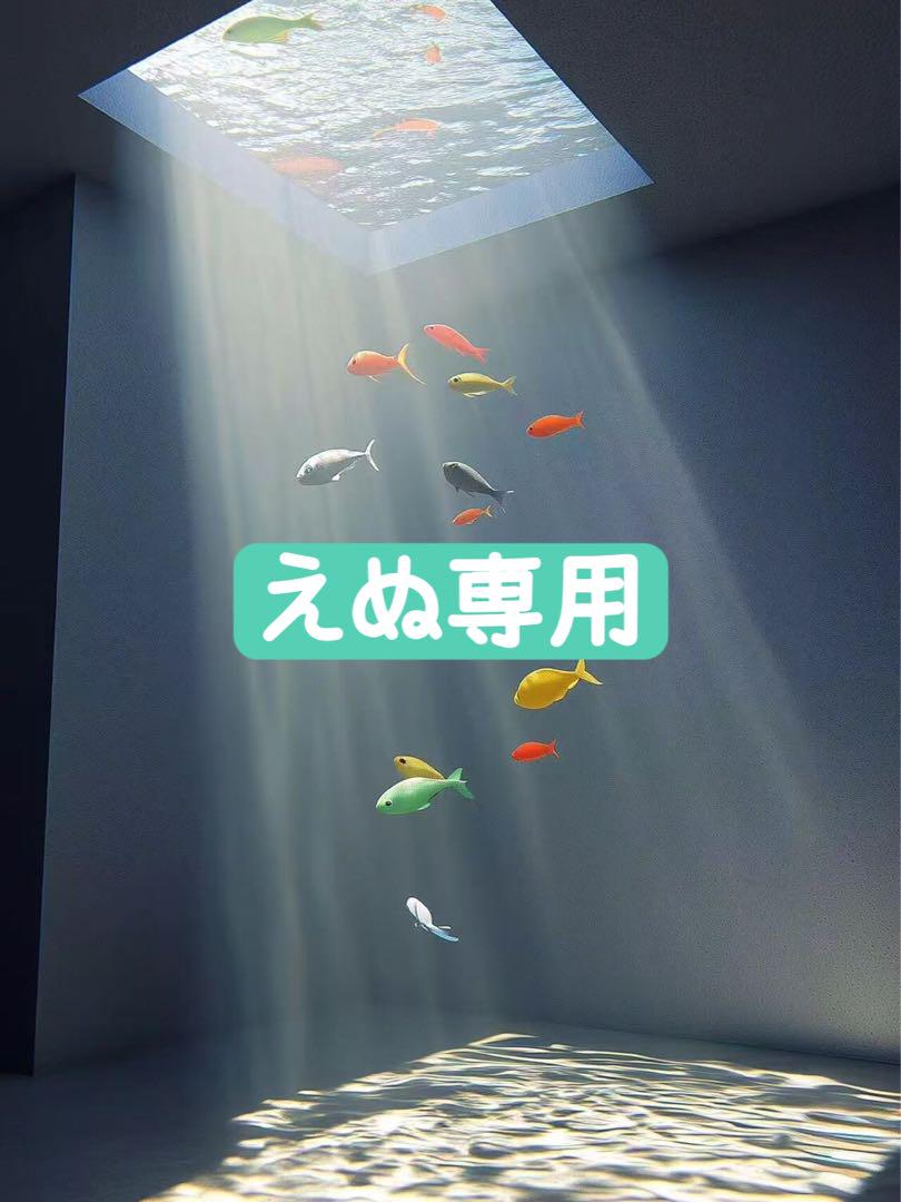 えぬ専用