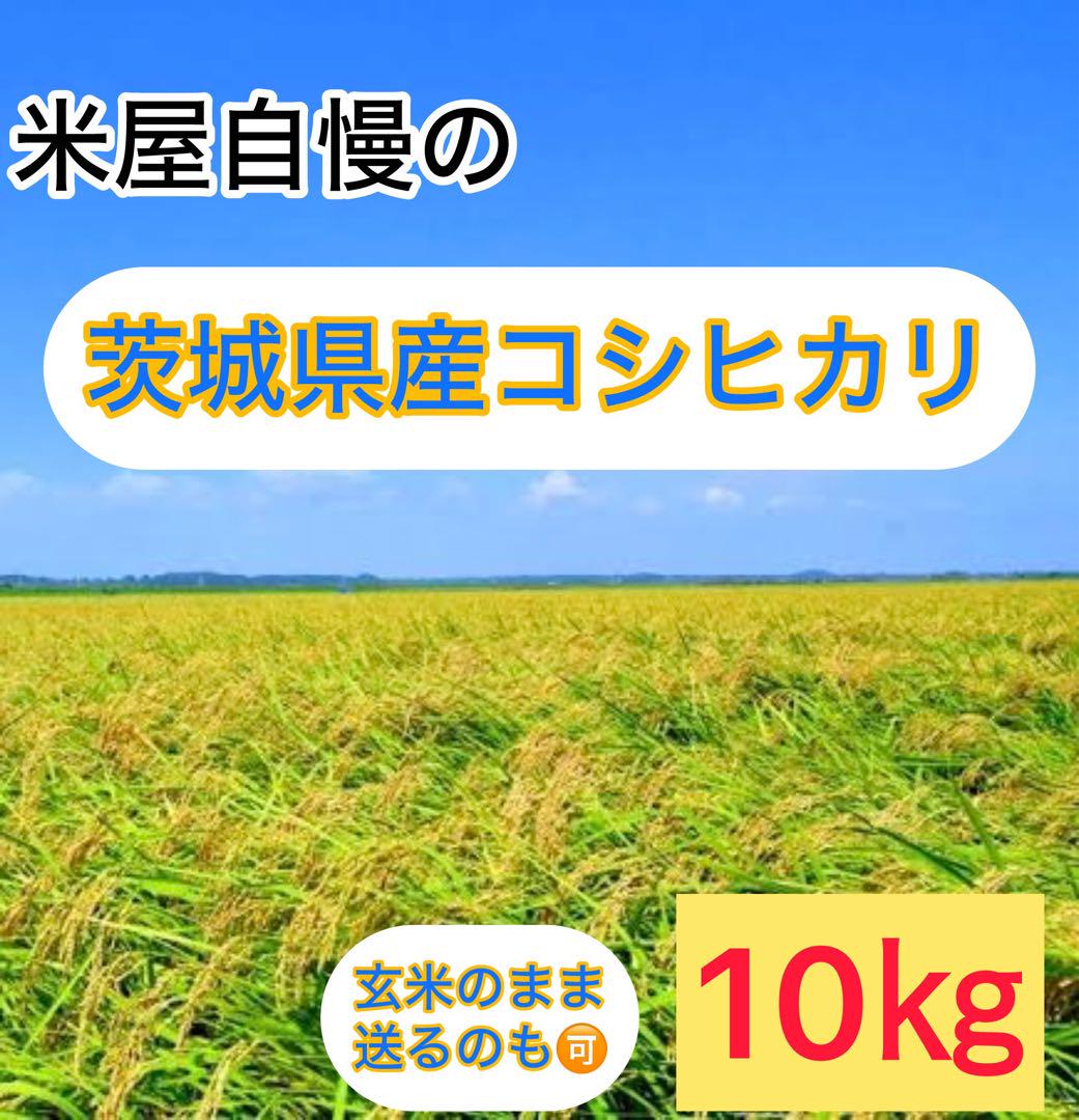 【送料込み】茨城県産コシヒカリ一等米R6年度産　玄米10キロを精米後発送約9キロ