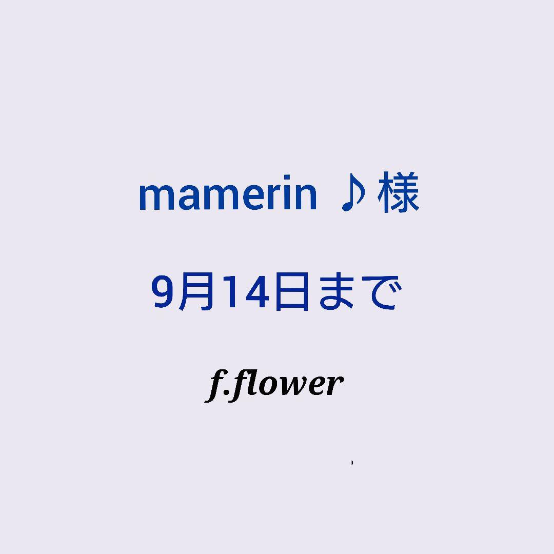 【mamerin ♪様専用】ヘアゴム レジン 549