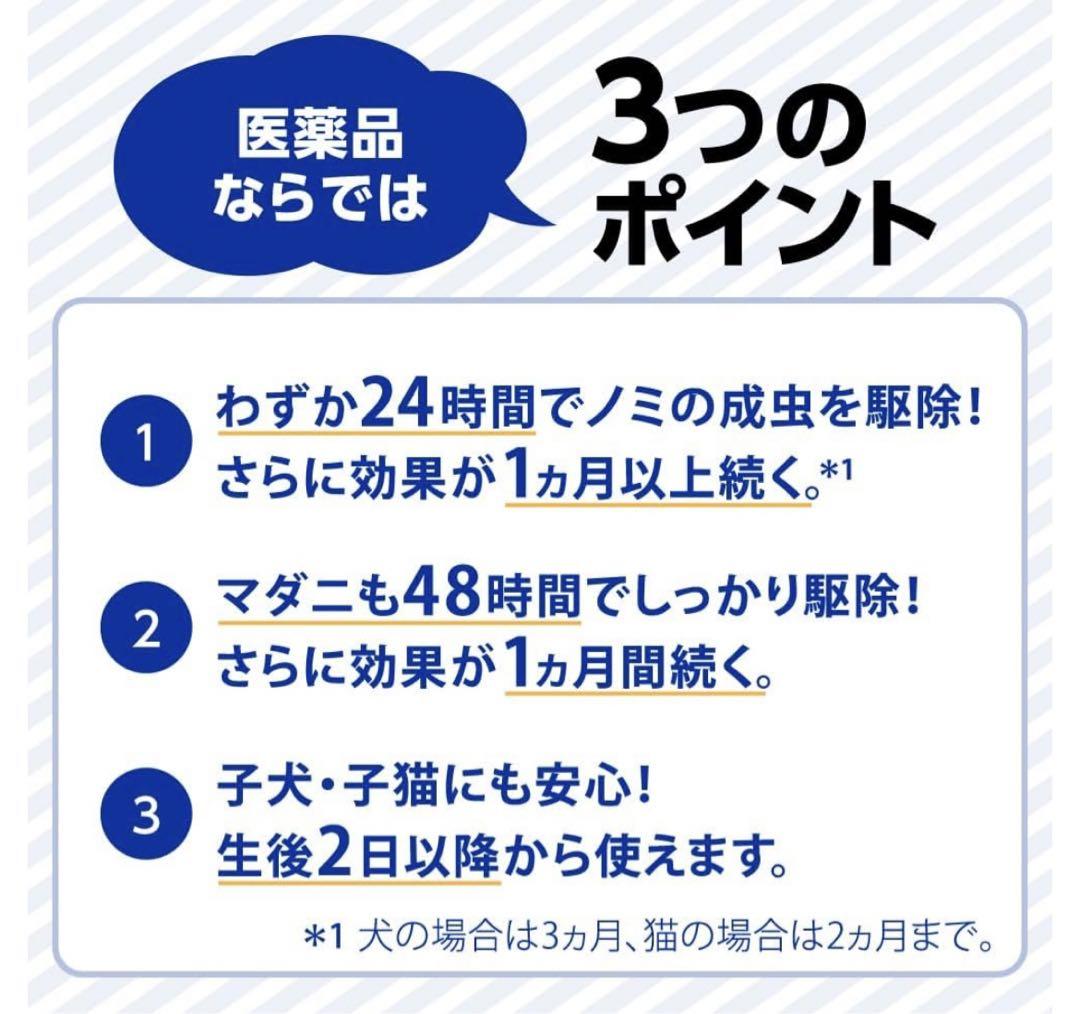 ねこ　いぬ　2個セット